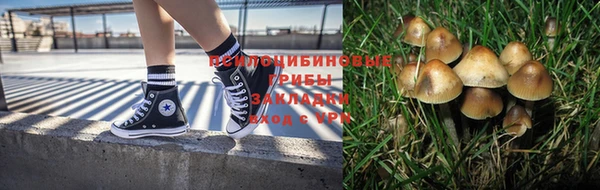 кокаин колумбия Россошь