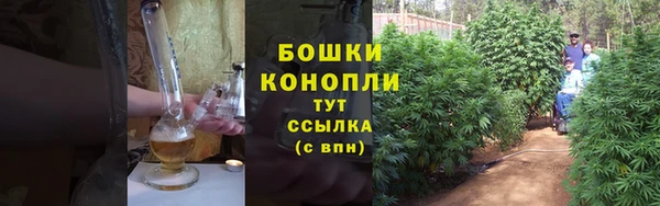 соль курить ск Рославль