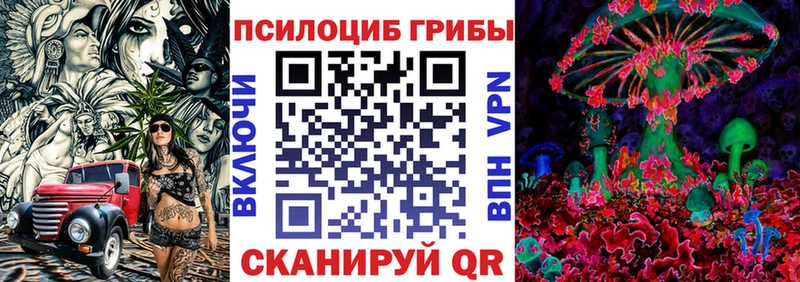 Купить где  Североморск  Псилоцибиновые грибы Psilocybine cubensis 
