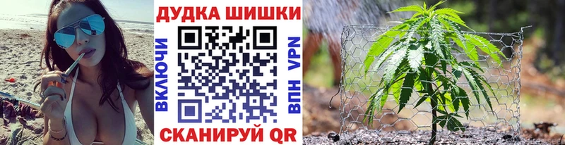 Бошки марихуана Amnesia  Купить  Североморск 